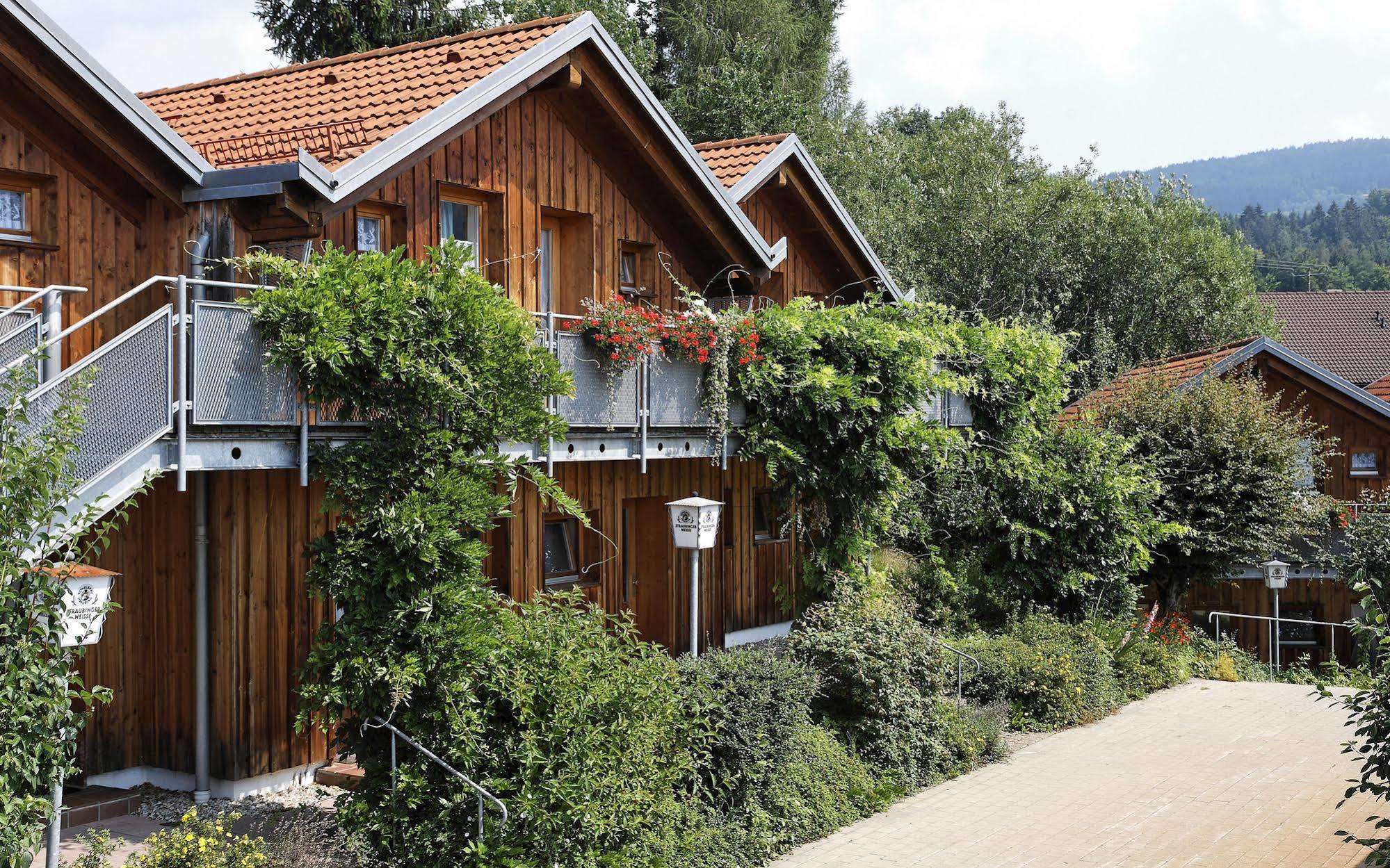 Village Hotel Bayerischer Wald Neukirchen  Exterior foto