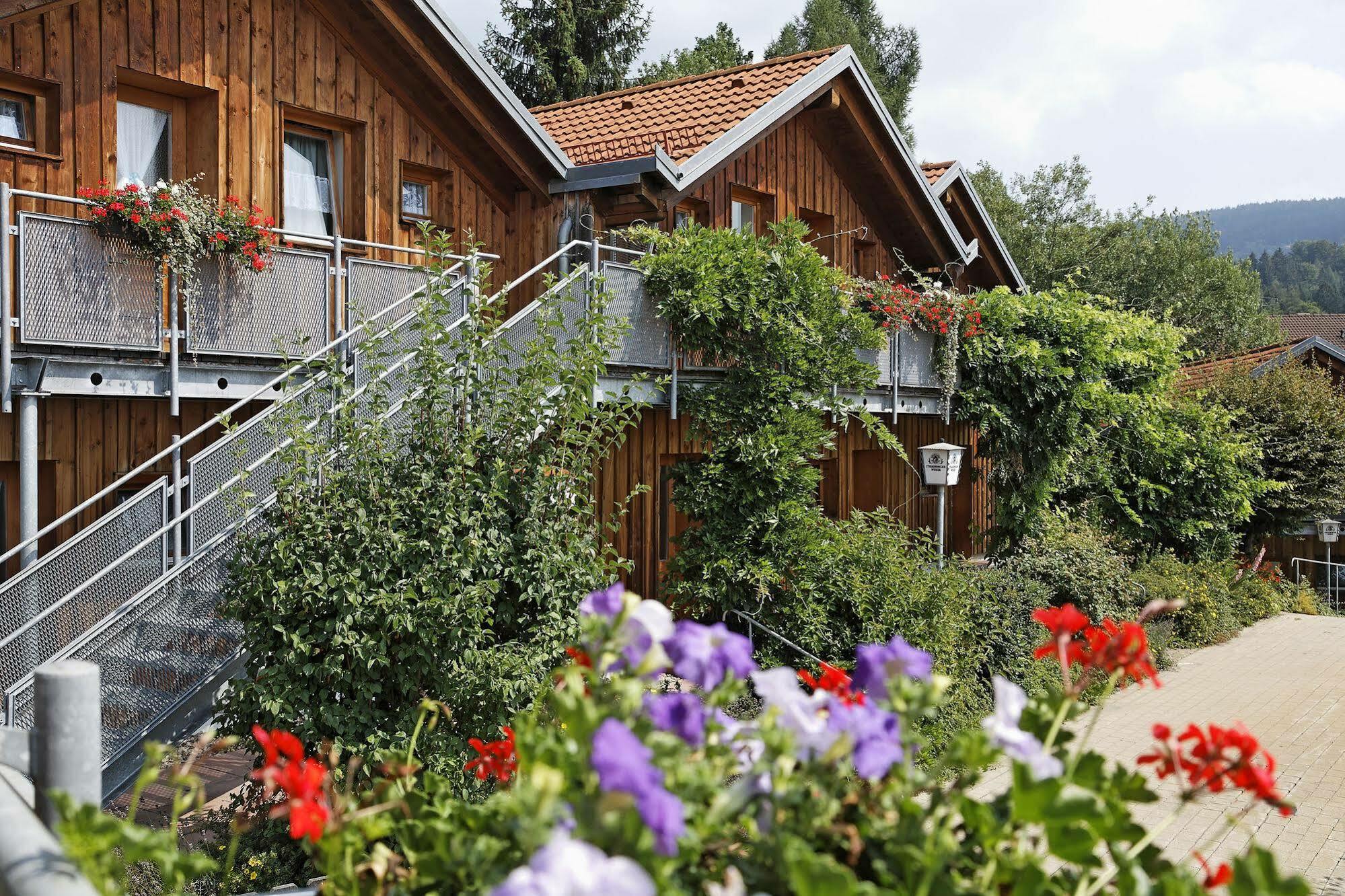 Village Hotel Bayerischer Wald Neukirchen  Exterior foto